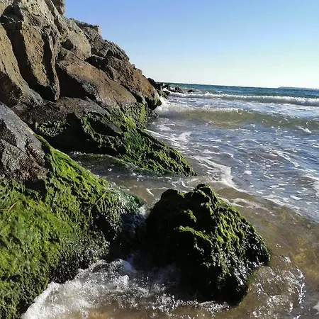 Apartment Helios 350m From The